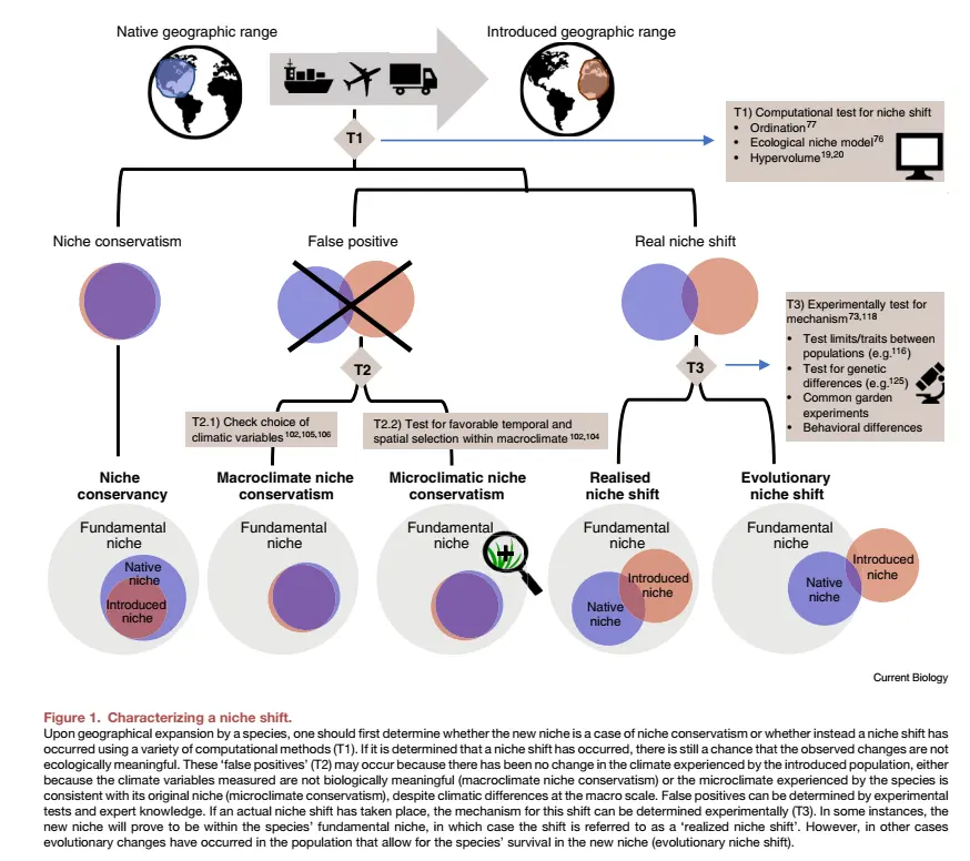Gráfico de cambio de nicho
